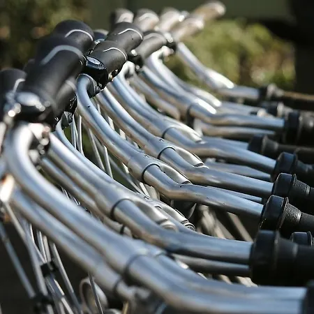 Michel An Der Lahn Hotel 4*